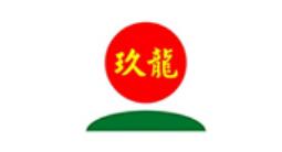 基于BPM的集團化協同管控平臺-玖龍紙業